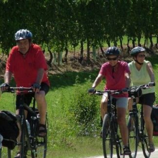 From Turin - 8-Day Cycling Tour in Piedmont