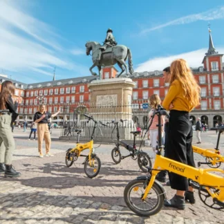 Madrid E-bike Guided Park & City Tour